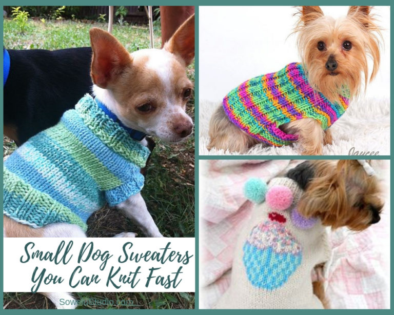 Small Dog Sweaters You Can Knit in a Flash – Sowelu Studio